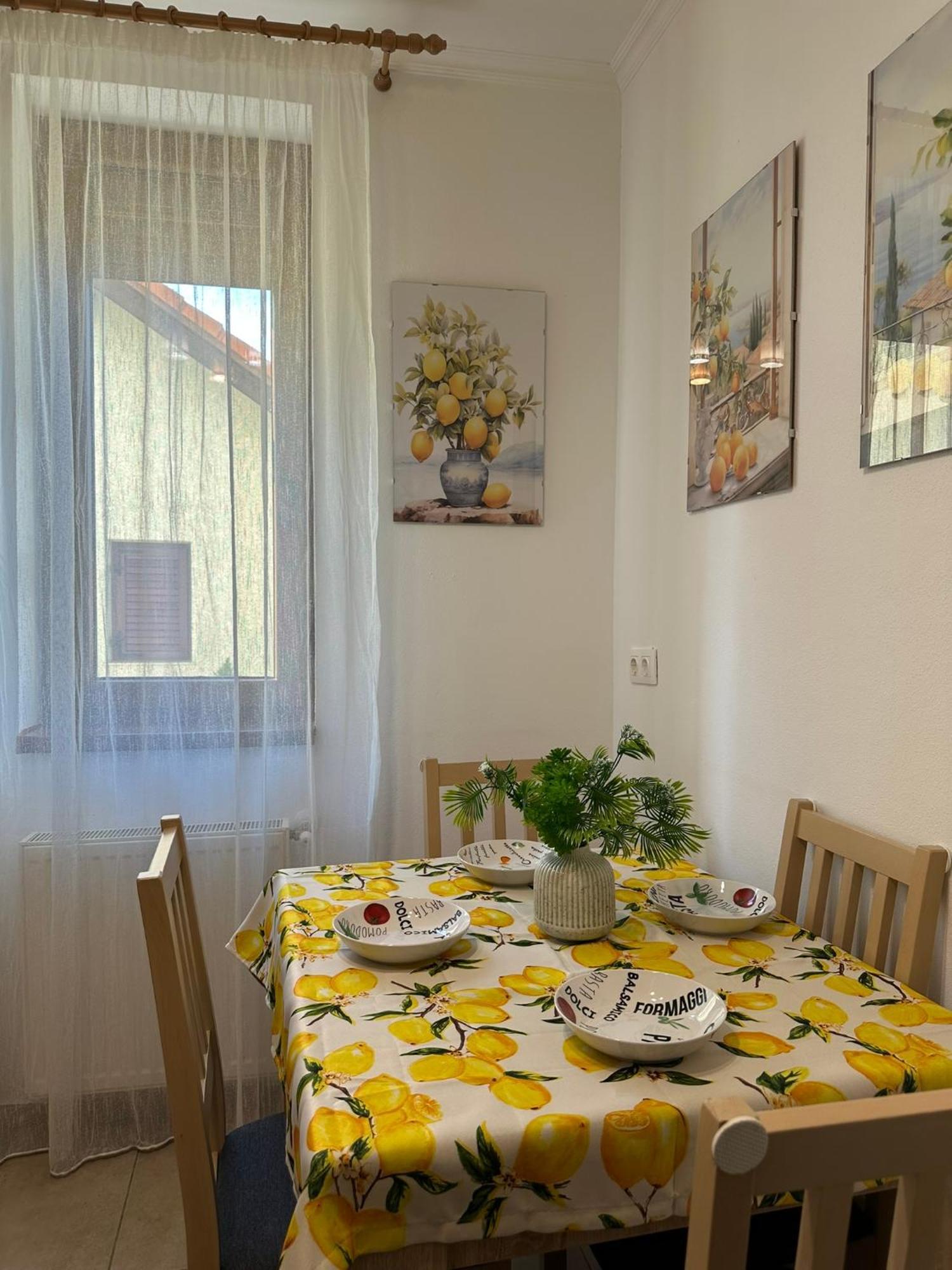 Casa Faustina Apartament Timişoara