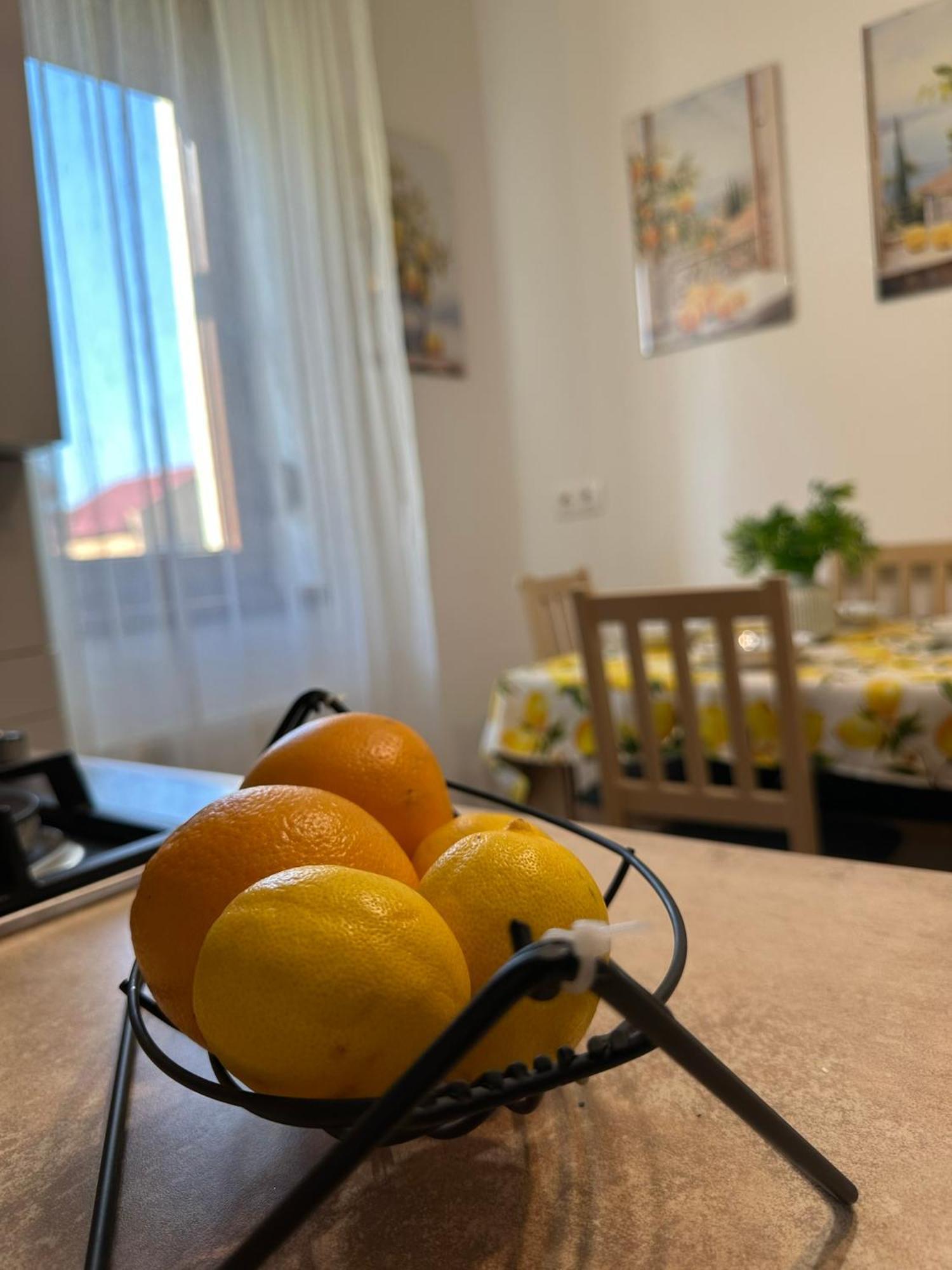 Apartament Casa Faustina Timişoara