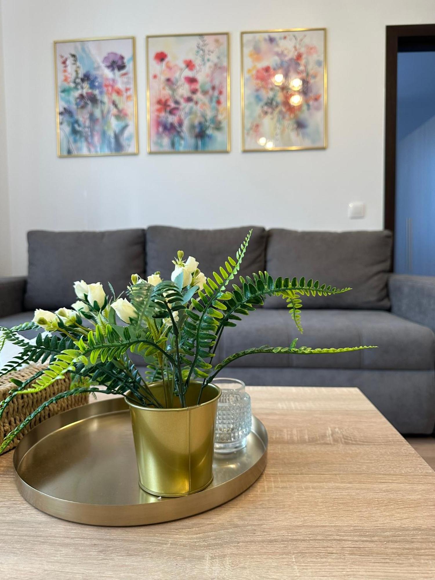 Apartament Casa Faustina Timişoara